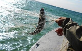Атырауские общественники не верят в безопасность работ на шельфе Каспийского моря