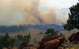 Дым от лесных пожаров в России накрыл две области Казахстана