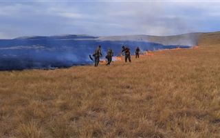 В Карагандинской области тушат крупный природный пожар