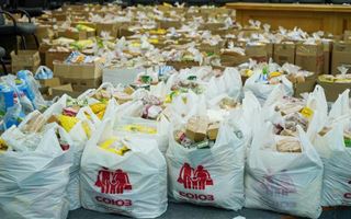 В Акмолинской области более 2500 семей получили продуктовые корзины