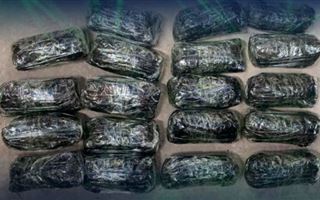 50 килограммов серебра пытались тайно вывезти из Казахстана - КНБ