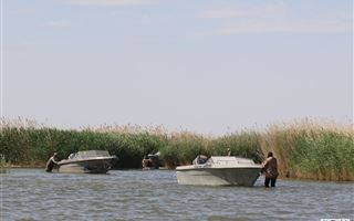 Рыбинспекторы "крышевали" браконьеров в море в Атырауской области