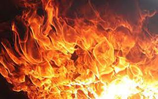 Более 250 человек погибли в пожарах с начала года в РК