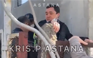 Судебный исполнитель в Казахстане получил два удара по рёбрам, когда пришёл сносить пристройку на чужом участке - видео