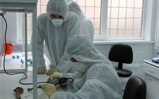 Казахстанские ученые внесли свой вклад в мировое исследование эволюции вируса гепатита В