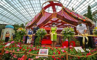 Торжественное открытие выставки «Tulipmania - 2021» состоялось в Сингапуре