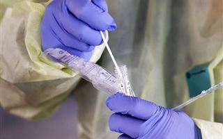 В Великобритании разработали ПЦР-тест для определения штаммов коронавируса