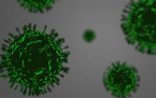 Новый штамм коронавируса «омикрон» выявлен у жителя Германии