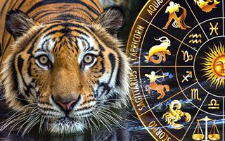 Как встретить и провести Новый год Тигра, чтобы привлечь удачу – астропсихолог