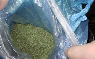 Почти 3 кг марихуаны изъяли полицейские Жамбылской области