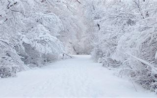 30 января на большей части Казахстана ожидается снег