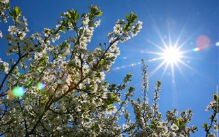 Первого апреля в Казахстане ожидается погода без осадков