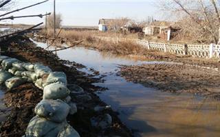 Жители Жамбылской области провели ночь, спасая свои дома от селя