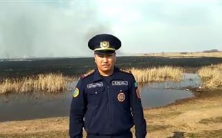 В ДЧС Павлодарской области рассказали подробности степного пожара близ поселков