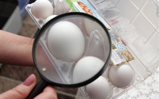 Диетолог назвала не вредное для здоровья количество яиц в день