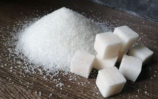 Производство сахара будет увеличено в несколько раз в Казахстане
