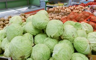 Овощи по ценам ниже рыночных будут реализовываться в торговых сетях столицы