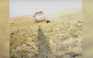 В Алматинской области жестоко избили работника фермы