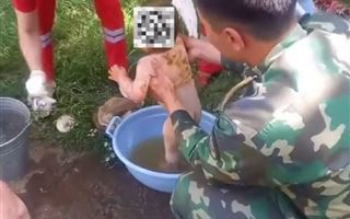 Малыш провалился в уличный туалет в Туркестанской области