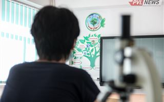 Оценка в школьном дневнике стала предметом судебного разбирательства в Павлодаре