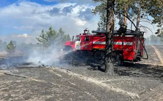 Крупный лесной пожар в Семее локализован