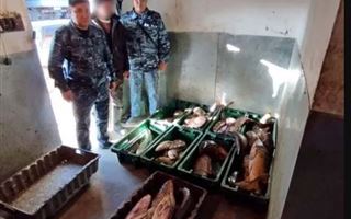 В ВКО полицейские изъяли у браконьеров более двух тонн рыбы