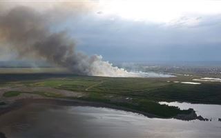 Пожар на озере Талдыколь потушили спустя двое суток