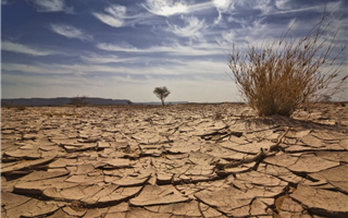 Казахстанские синоптики дали предварительный прогноз засухи на июль