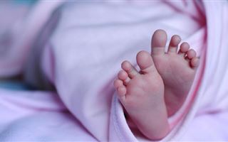 Тело младенца нашли в мусорном контейнере в Талдыкоргане