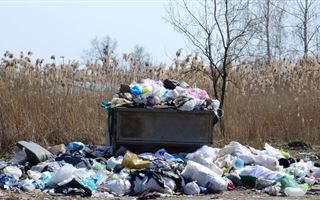 Жителей Шымкента оштрафовали на 19 миллионов тенге выброс мусора