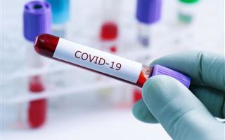 В РК за прошедшие сутки коронавирусом заболели 2579 человек