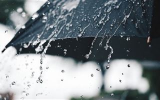 Восьмого августа в Казахстане ожидаются дожди