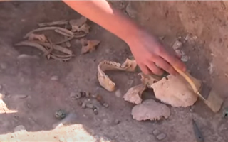 Археологи нашли в Туркестанской области древний храм