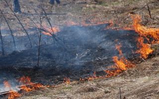 В Грузии начались крупные лесные пожары 