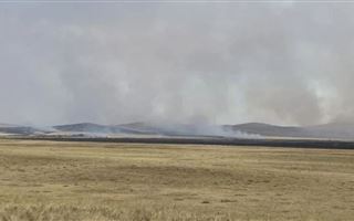 В Павлодарской области горел сухостой