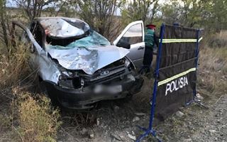В ВКО в ДТП на трассе погибли водитель и лошадь