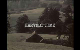 Вышел трейлер документального фильма о Ниле Янге «Harvest Time»