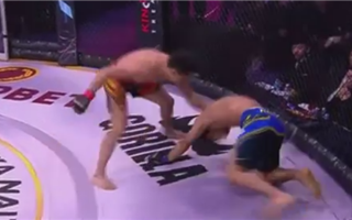 "Уровень UFC" - казахстанский файтер досрочно закончил бой с брутальным избиением