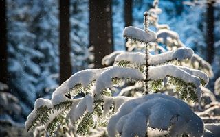 Какой будет погода шестого декабря в Казахстане