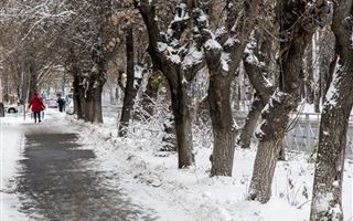 Какой будет погода девятого декабря в Казахстане