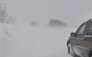 В Жетысуской области из снежного плена спасли 39 человек