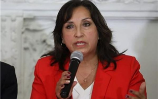 Новый президент Перу Дина Болуарте отказалась подавать в отставку на фоне беспорядков