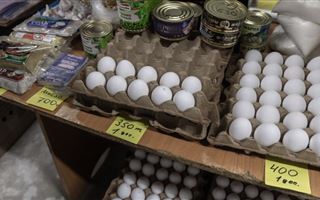 В Акмолинской, Западно-Казахстанской и Улытауской областях выявили завышение цен на яйца