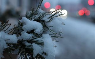 Какой будет погода 24 декабря в Казахстане