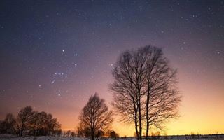 Жители Земли в новом году увидят мощный звездопад Квадрантиды