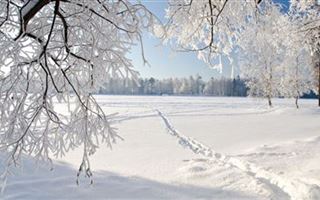 Какой будет погода восьмого января в Казахстане