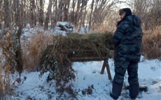 Павлодарские лесники начали подкормку диких животных