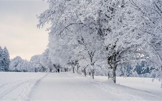 В южных областях Казахстана сохранится морозная погода