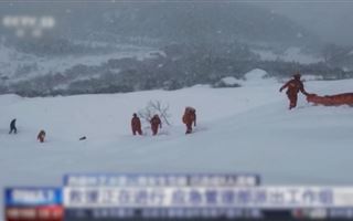 До 13 человек возросло число погибших во время схода лавины в Тибете