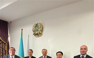 Экспертам Совета Европы рассказали о вопросах защиты прав человека в Казахстане
